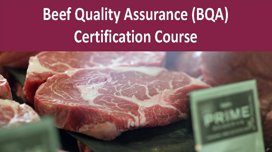 BQA Cert graphic